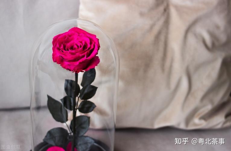 �����ӵ�Ӫ����ֵ �����ӵ�����Ч