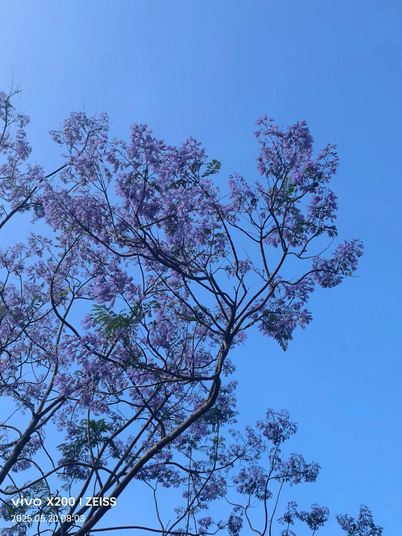 灰指甲患者的饮食应如何选择 灰指甲饮食三要点 灰指甲患者的饮食应如何选择 灰指甲饮食三要点