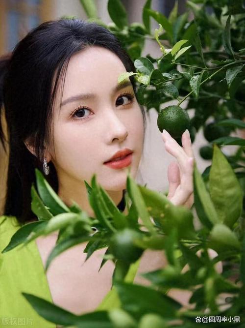 菊苣根适合什么人吃 菊苣根乱吃的危害有哪些 菊苣根适合什么人吃 菊苣根乱吃的危害有哪些