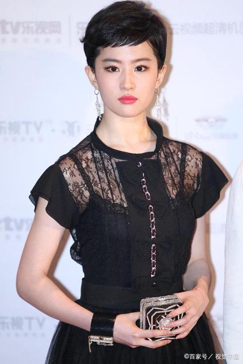 ע��¡�ظƻ����ʹ��