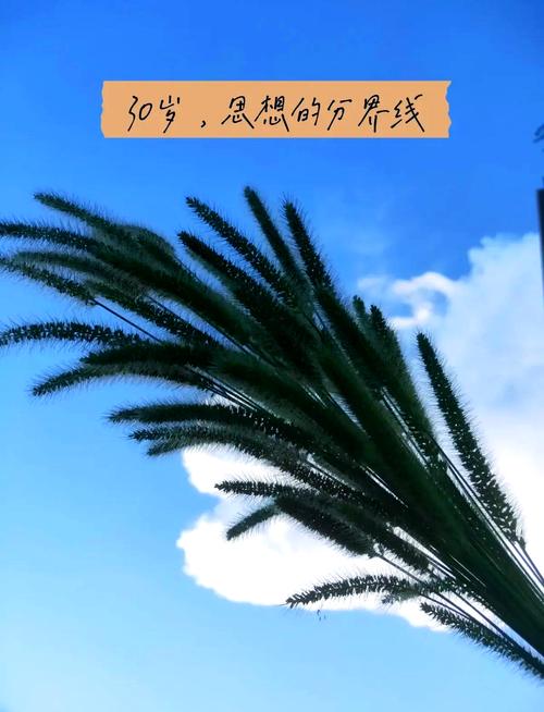 ǧŲţʲôҩ úͳԷʲô