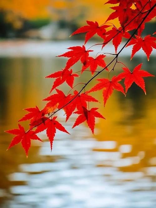 怎么治脊髓损伤 怎么治脊髓损伤