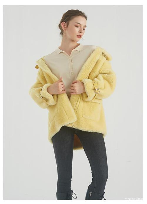 ��������176 ���������Ƕ���