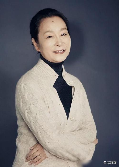 ����ϩ�Ľ��ɺ͸����� ����ϩ���������