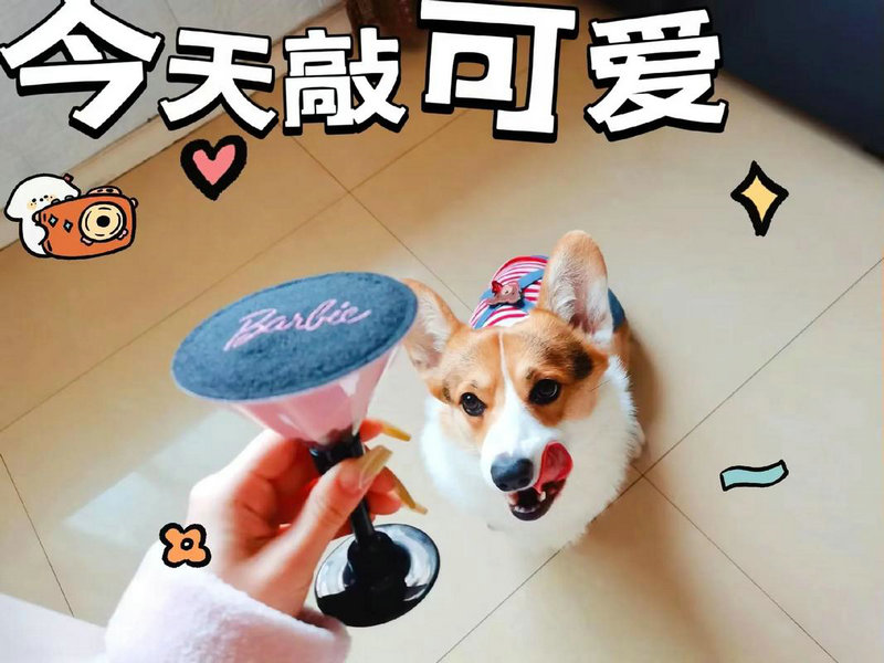 潘虹现在多大年龄潘虹多大年龄了 潘虹现在多大年龄潘虹多大年龄了