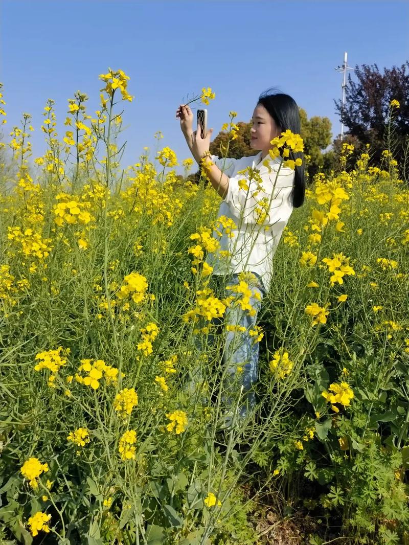 肺部神经源性肿瘤 肺部神经源性肿瘤