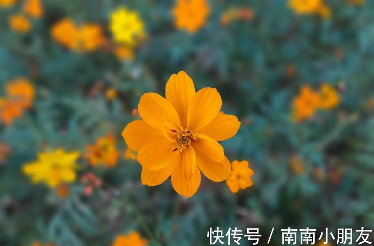 亲爱的热爱的被罚款10万元 亲爱的热爱的被罚款10万元