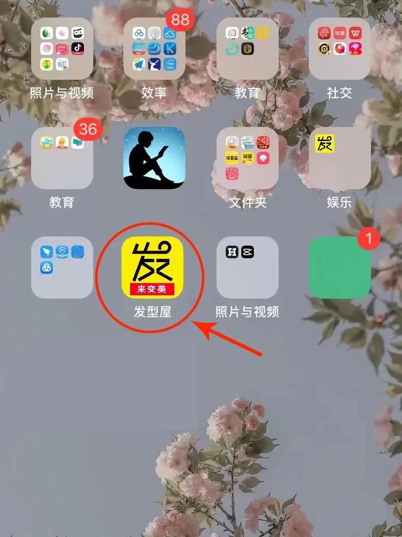 决明子枕头的功效与作用  使用时一些事项还需多注意 决明子枕头的功效与作用  使用时一些事项还需多注意