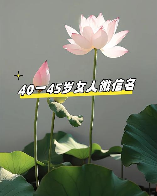 ���������ô��