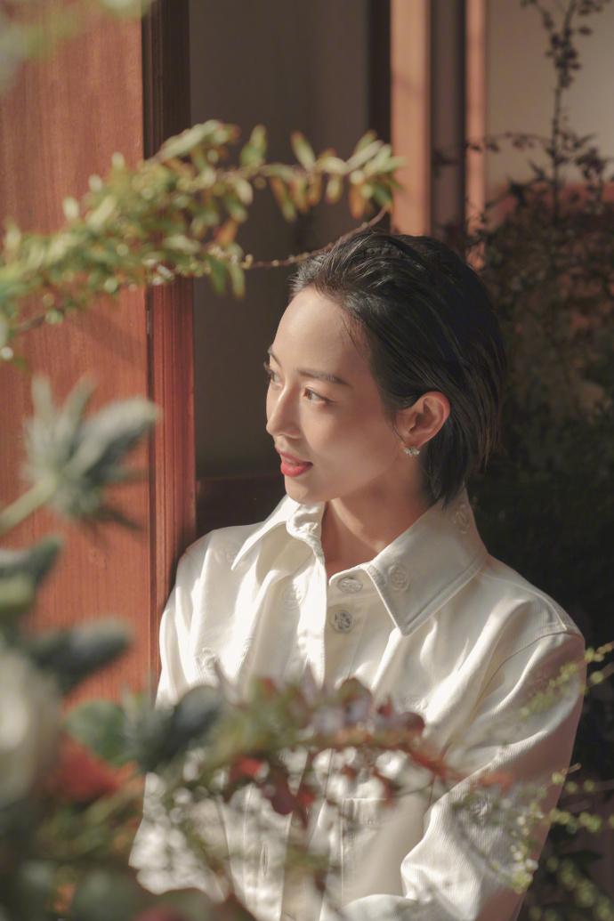 꿧в侫񣬻ƣ͵ҪЧ