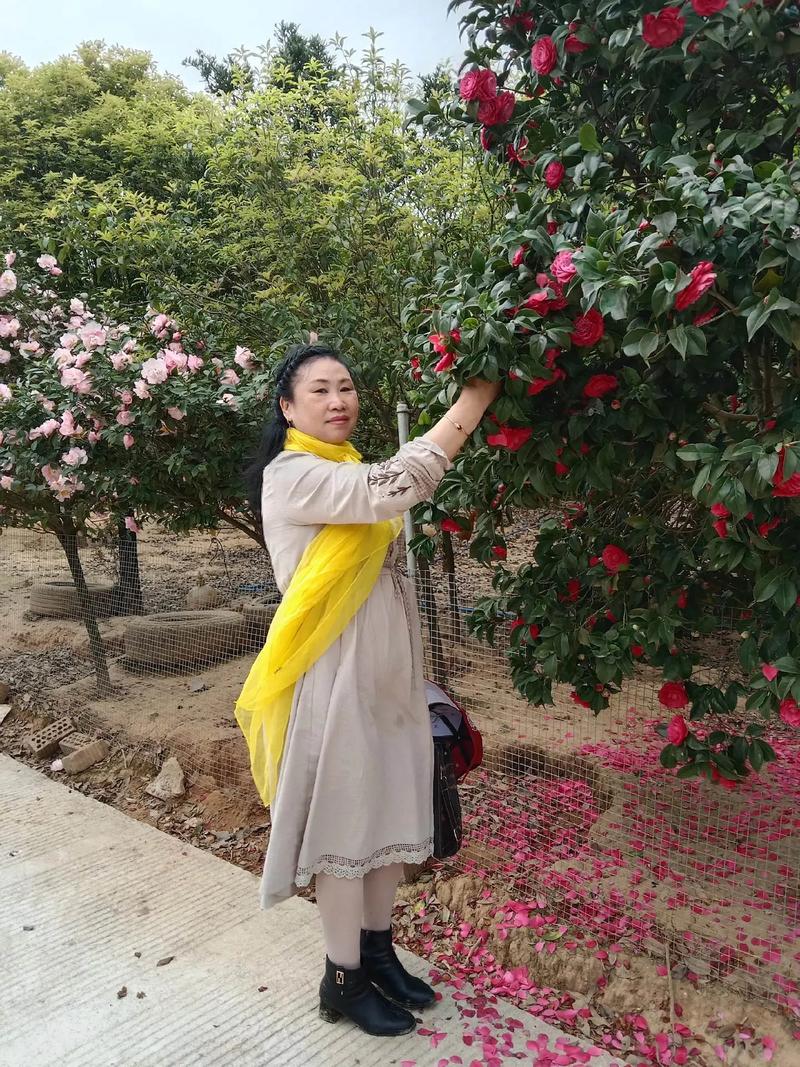 ʷ�����ī�������� ʷ�����ī��������˭����