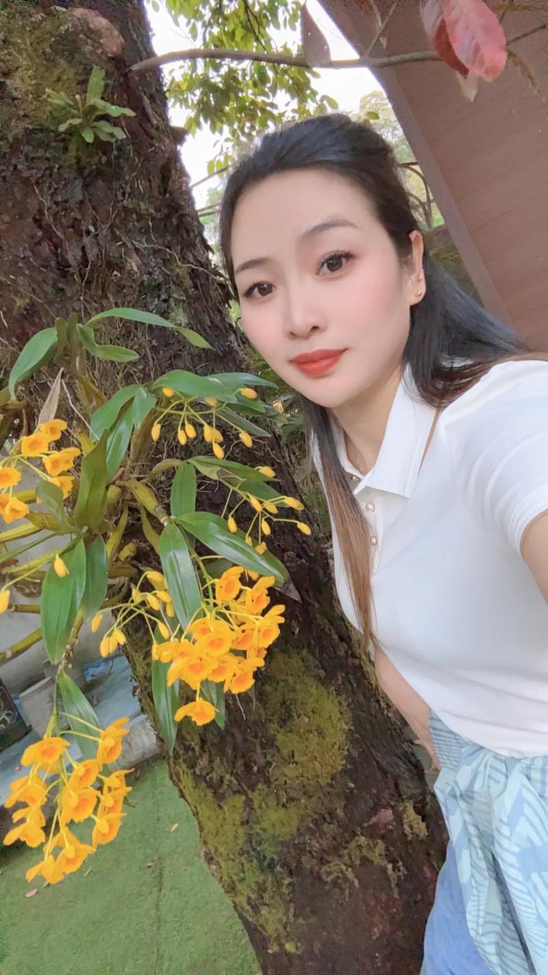 小脂音糖饼会反弹吗 小脂音糖品让你安心享瘦 小脂音糖饼会反弹吗 小脂音糖品让你安心享瘦