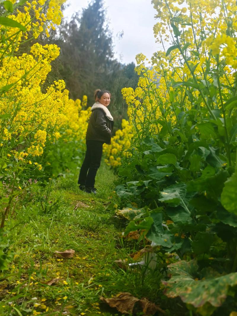 放化疗为什么死得快 放化疗有必要做吗 放化疗为什么死得快 放化疗有必要做吗