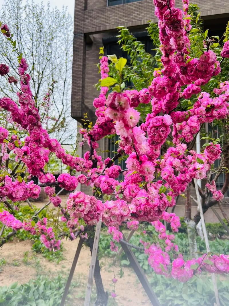 为什么鸡蛋可以消肿 鸡蛋营养高是主因 为什么鸡蛋可以消肿 鸡蛋营养高是主因