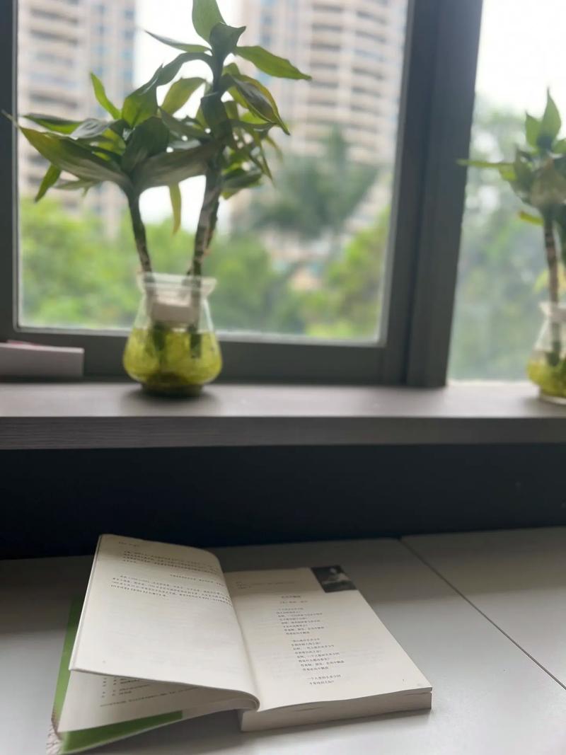 吸二手烟的危害有哪些 三大常见危害 吸二手烟的危害有哪些 三大常见危害