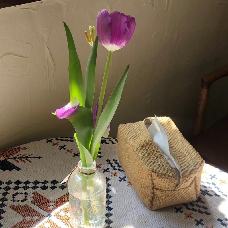 ������������ʧ����ô�� �������ڷ����̱�